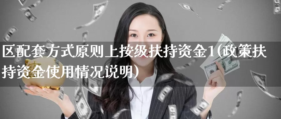 区配套方式原则上按级扶持资金1(政策扶持资金使用情况说明)_https://www.zhuotongtaye.com_期货百科_第1张