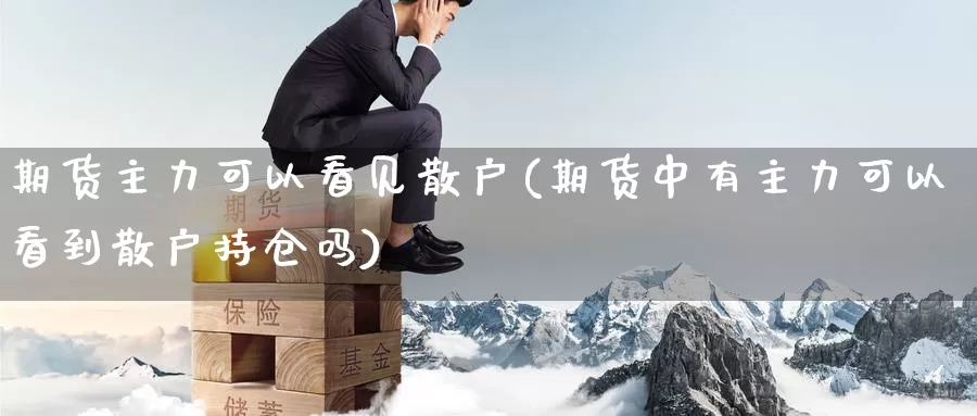 期货主力可以看见散户(期货中有主力可以看到散户持仓吗)_https://www.zhuotongtaye.com_期货平台_第1张