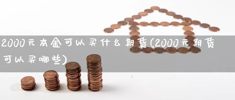 2000元本金可以买什么期货(2000元期货可以买哪些)_https://www.zhuotongtaye.com_期货走势_第1张