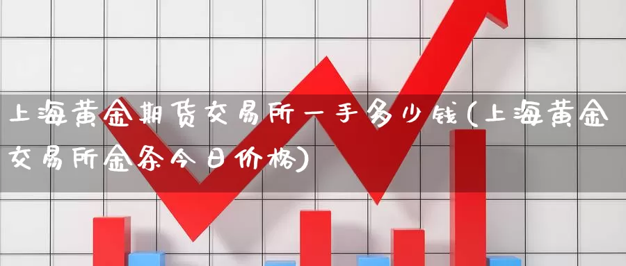 上海黄金期货交易所一手多少钱(上海黄金交易所金条今日价格)_https://www.zhuotongtaye.com_期货平台_第1张