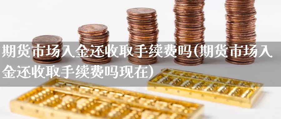 期货市场入金还收取手续费吗(期货市场入金还收取手续费吗现在)_https://www.zhuotongtaye.com_期货走势_第1张