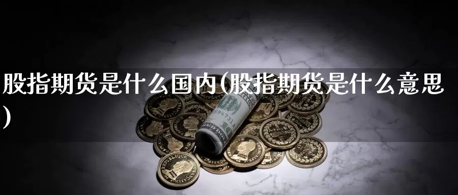 股指期货是什么国内(股指期货是什么意思)_https://www.zhuotongtaye.com_期货知识_第1张