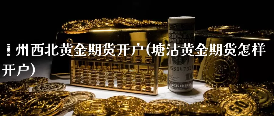 嵊州西北黄金期货开户(塘沽黄金期货怎样开户)_https://www.zhuotongtaye.com_期货百科_第1张