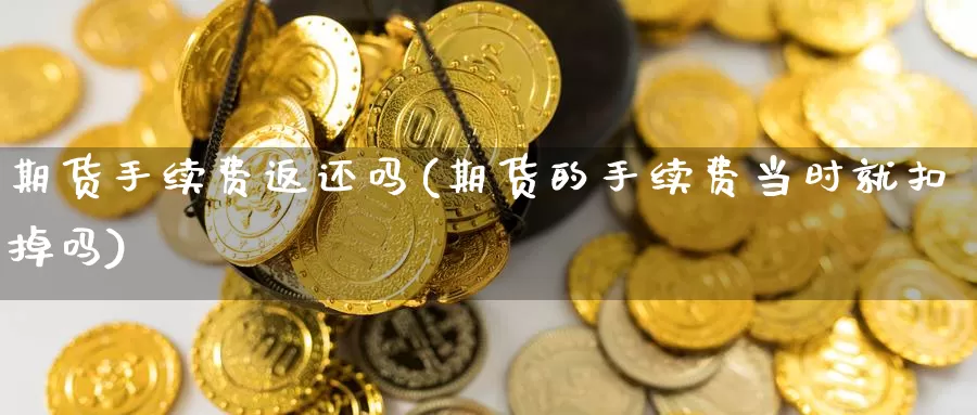 期货手续费返还吗(期货的手续费当时就扣掉吗)_https://www.zhuotongtaye.com_期货平台_第1张