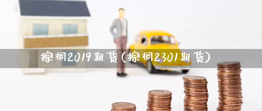 棕榈2019期货(棕榈2301期货)_https://www.zhuotongtaye.com_期货走势_第1张