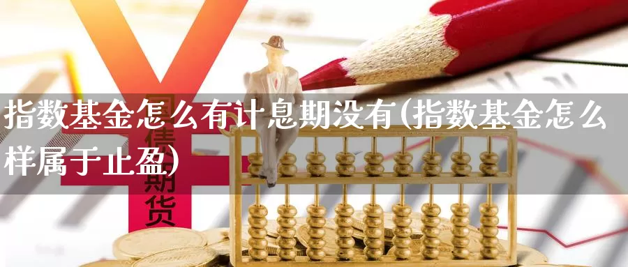 指数基金怎么有计息期没有(指数基金怎么样属于止盈)_https://www.zhuotongtaye.com_期货分析_第1张