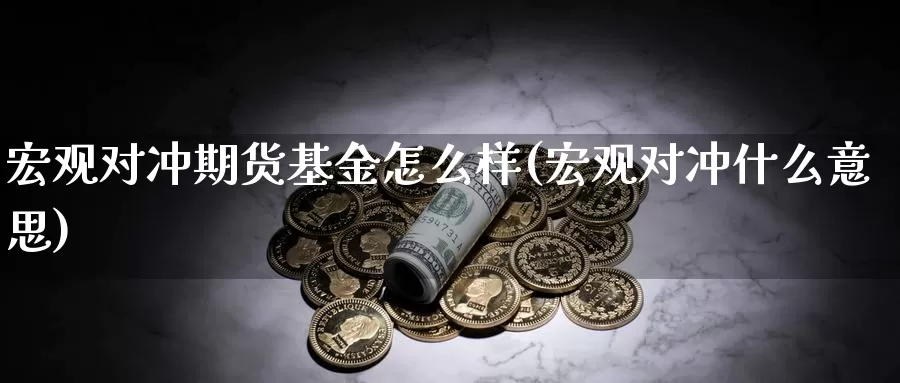 宏观对冲期货基金怎么样(宏观对冲什么意思)_https://www.zhuotongtaye.com_期货平台_第1张