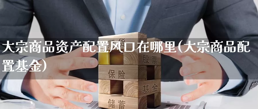 大宗商品资产配置风口在哪里(大宗商品配置基金)_https://www.zhuotongtaye.com_期货平台_第1张