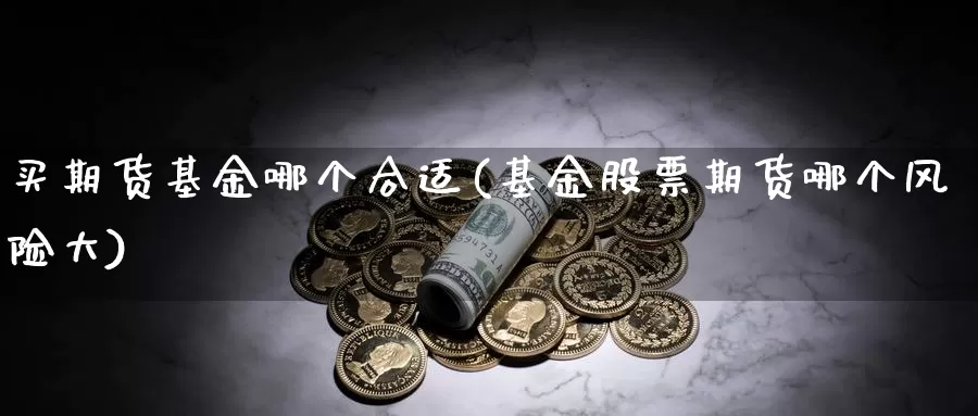 买期货基金哪个合适(基金股票期货哪个风险大)_https://www.zhuotongtaye.com_期货走势_第1张