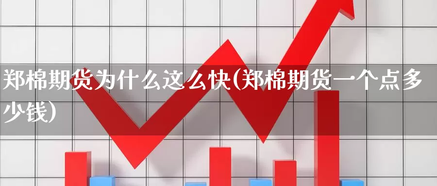 郑棉期货为什么这么快(郑棉期货一个点多少钱)_https://www.zhuotongtaye.com_期货百科_第1张