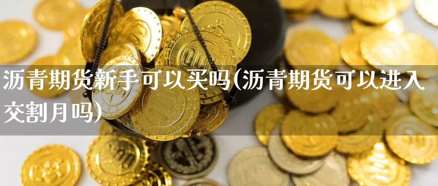 沥青期货新手可以买吗(沥青期货可以进入交割月吗)_https://www.zhuotongtaye.com_期货分析_第1张