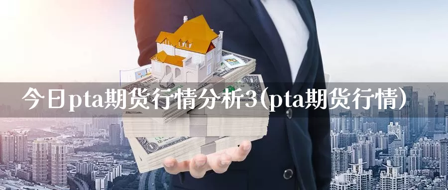 今日pta期货行情分析3(pta期货行情)_https://www.zhuotongtaye.com_期货走势_第1张