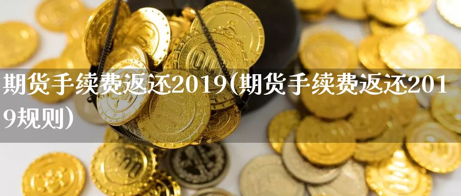 期货手续费返还2019(期货手续费返还2019规则)_https://www.zhuotongtaye.com_期货知识_第1张