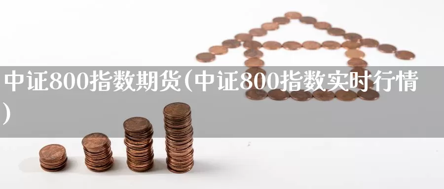 中证800指数期货(中证800指数实时行情)_https://www.zhuotongtaye.com_期货走势_第1张