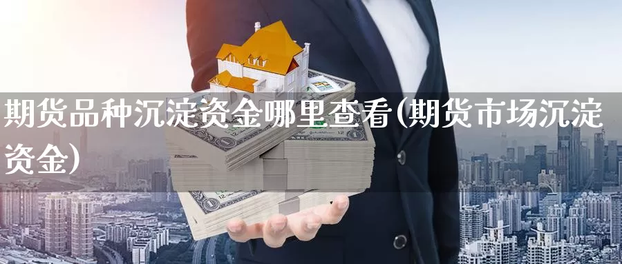 期货品种沉淀资金哪里查看(期货市场沉淀资金)_https://www.zhuotongtaye.com_期货知识_第1张