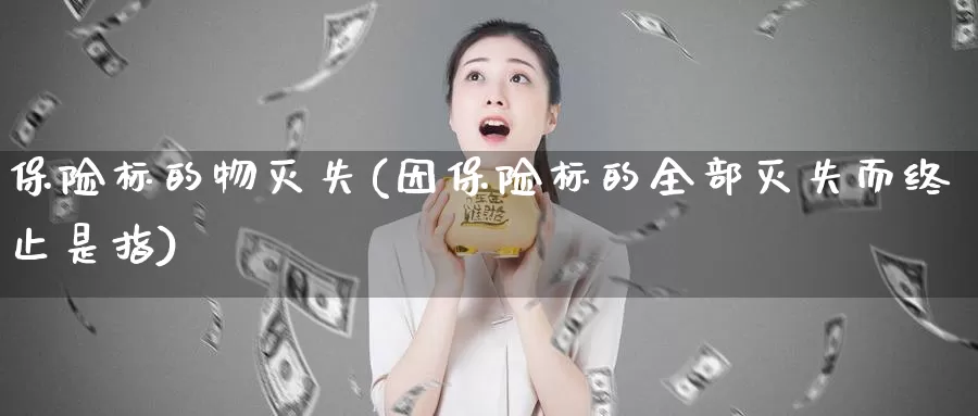 保险标的物灭失(因保险标的全部灭失而终止是指)_https://www.zhuotongtaye.com_期货平台_第1张