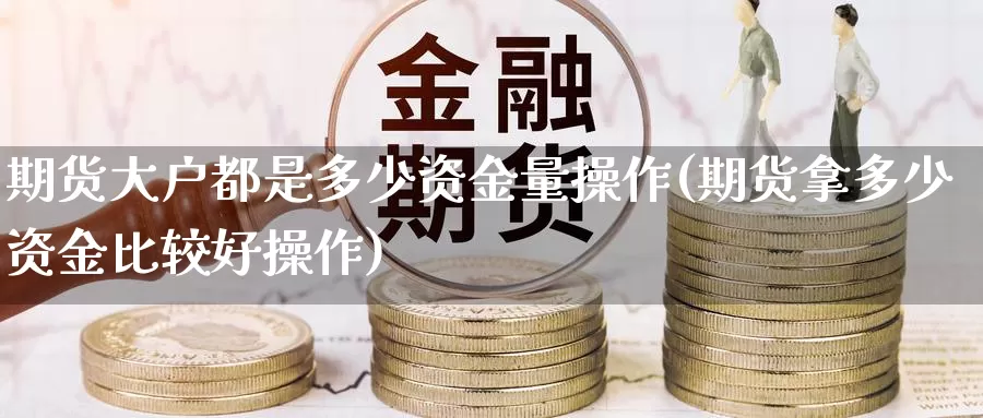 期货大户都是多少资金量操作(期货拿多少资金比较好操作)_https://www.zhuotongtaye.com_期货知识_第1张