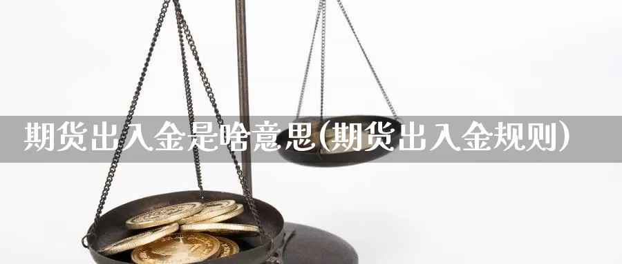 期货出入金是啥意思(期货出入金规则)_https://www.zhuotongtaye.com_期货平台_第1张