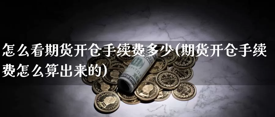 怎么看期货开仓手续费多少(期货开仓手续费怎么算出来的)_https://www.zhuotongtaye.com_期货走势_第1张