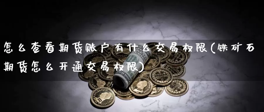 怎么查看期货账户有什么交易权限(铁矿石期货怎么开通交易权限)_https://www.zhuotongtaye.com_期货知识_第1张