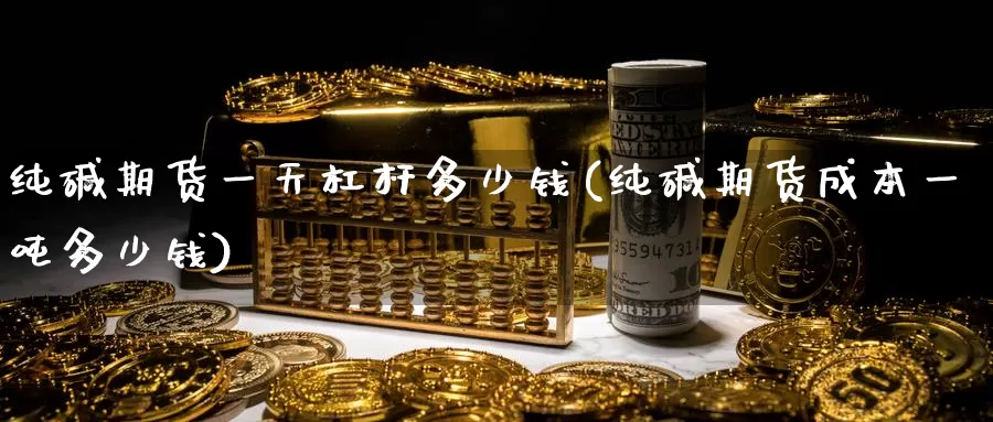 纯碱期货一天杠杆多少钱(纯碱期货成本一吨多少钱)_https://www.zhuotongtaye.com_期货分析_第1张