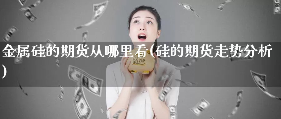 金属硅的期货从哪里看(硅的期货走势分析)_https://www.zhuotongtaye.com_期货走势_第1张