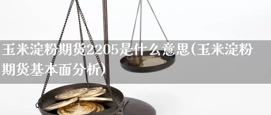 玉米淀粉期货2205是什么意思(玉米淀粉期货基本面分析)_https://www.zhuotongtaye.com_期货知识_第1张