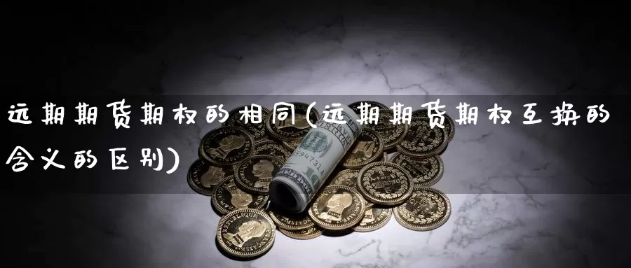 远期期货期权的相同(远期期货期权互换的含义的区别)_https://www.zhuotongtaye.com_期货走势_第1张