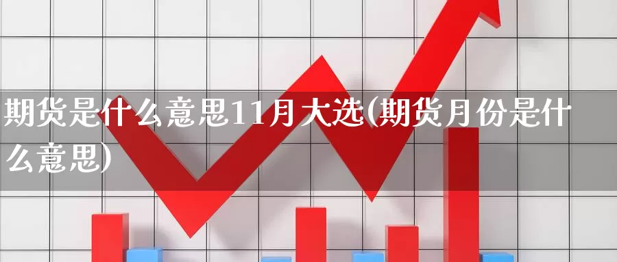 期货是什么意思11月大选(期货月份是什么意思)_https://www.zhuotongtaye.com_期货平台_第1张