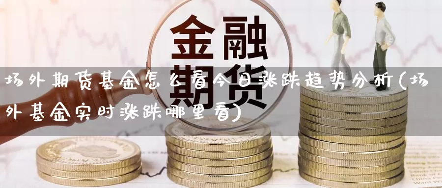 场外期货基金怎么看今日涨跌趋势分析(场外基金实时涨跌哪里看)_https://www.zhuotongtaye.com_期货分析_第1张