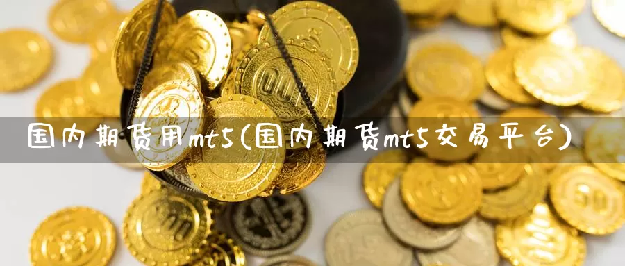 国内期货用mt5(国内期货mt5交易平台)_https://www.zhuotongtaye.com_期货平台_第1张