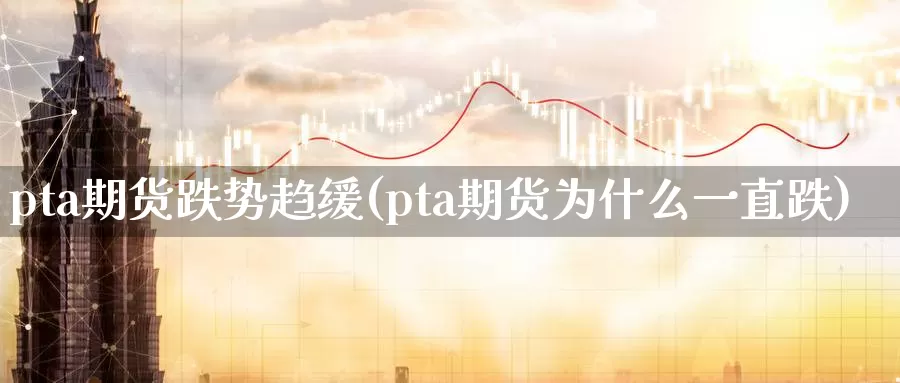 pta期货跌势趋缓(pta期货为什么一直跌)_https://www.zhuotongtaye.com_期货百科_第1张