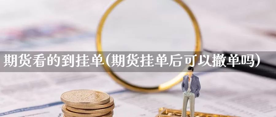 期货看的到挂单(期货挂单后可以撤单吗)_https://www.zhuotongtaye.com_期货平台_第1张