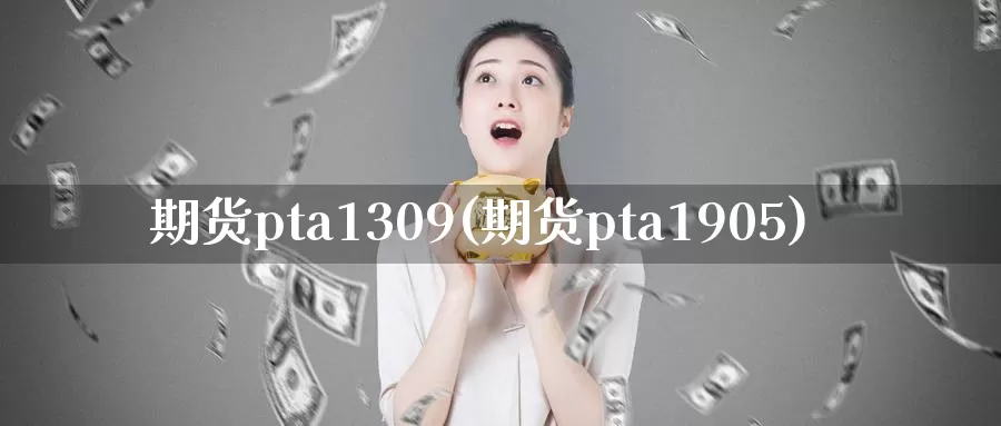 期货pta1309(期货pta1905)_https://www.zhuotongtaye.com_期货百科_第1张