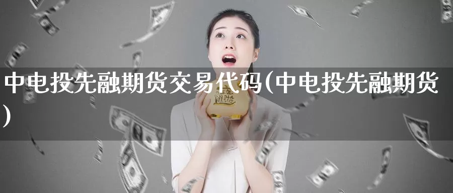 中电投先融期货交易代码(中电投先融期货)_https://www.zhuotongtaye.com_期货知识_第1张