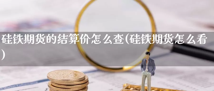 硅铁期货的结算价怎么查(硅铁期货怎么看)_https://www.zhuotongtaye.com_期货走势_第1张