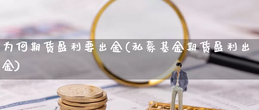 为何期货盈利要出金(私募基金期货盈利出金)_https://www.zhuotongtaye.com_期货平台_第1张