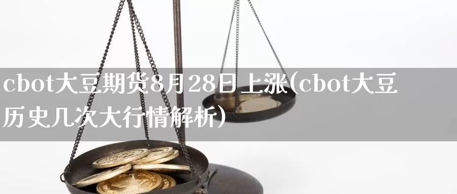 cbot大豆期货8月28日上涨(cbot大豆历史几次大行情解析)_https://www.zhuotongtaye.com_期货走势_第1张