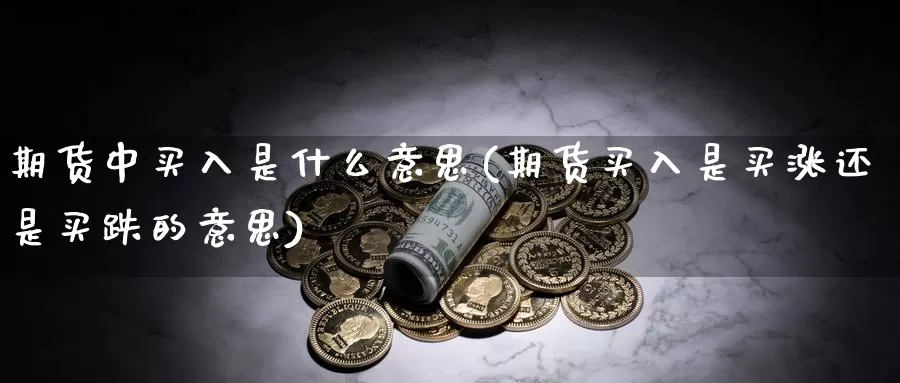 期货中买入是什么意思(期货买入是买涨还是买跌的意思)_https://www.zhuotongtaye.com_期货知识_第1张