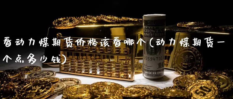 看动力煤期货价格该看哪个(动力煤期货一个点多少钱)_https://www.zhuotongtaye.com_期货知识_第1张