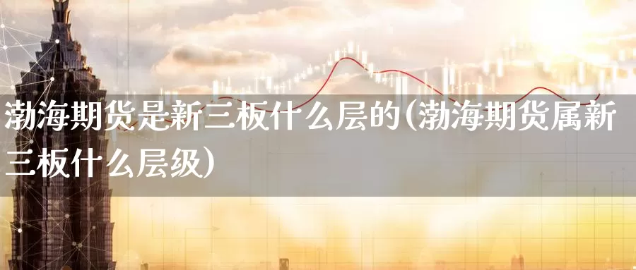 渤海期货是新三板什么层的(渤海期货属新三板什么层级)_https://www.zhuotongtaye.com_期货知识_第1张