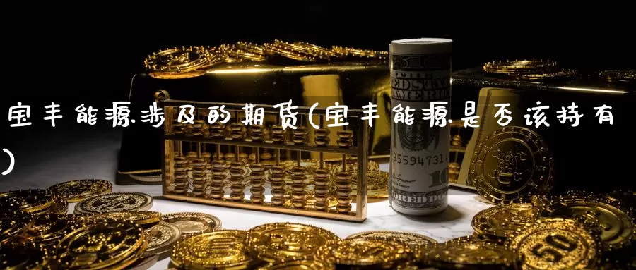 宝丰能源涉及的期货(宝丰能源是否该持有)_https://www.zhuotongtaye.com_期货知识_第1张