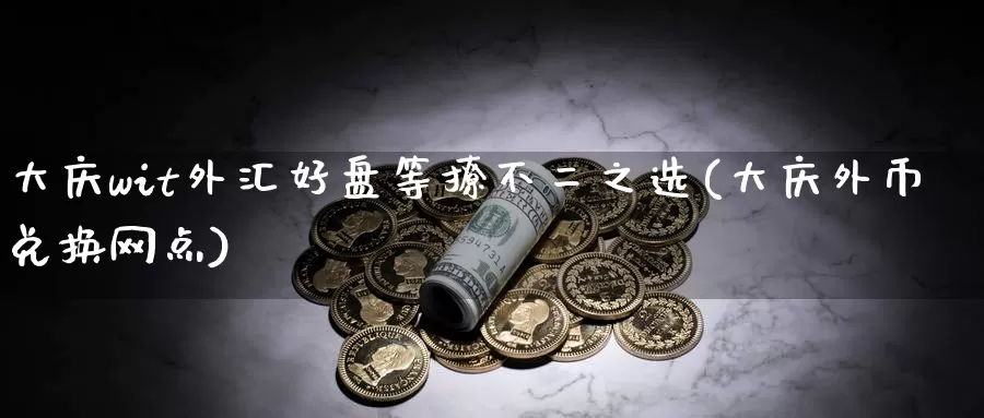 大庆wit外汇好盘等撩不二之选(大庆外币兑换网点)_https://www.zhuotongtaye.com_期货知识_第1张