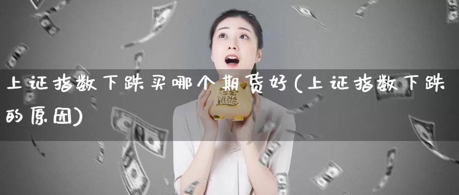 上证指数下跌买哪个期货好(上证指数下跌的原因)_https://www.zhuotongtaye.com_期货分析_第1张