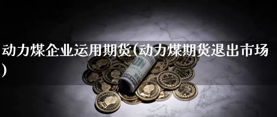 动力煤企业运用期货(动力煤期货退出市场)_https://www.zhuotongtaye.com_期货百科_第1张