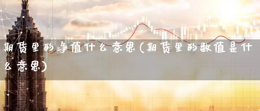 期货里的净值什么意思(期货里的数值是什么意思)_https://www.zhuotongtaye.com_期货知识_第1张